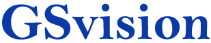 GS Vision